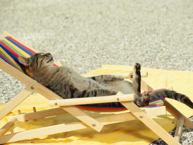 Blogspot via thebookaholiccat
